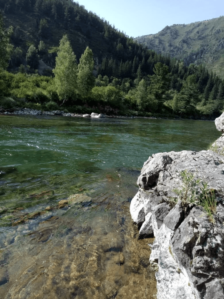 Другой Алтай - Комфорт - фото 4