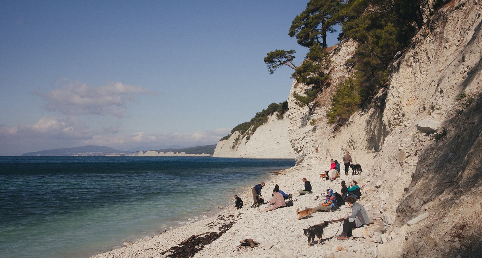 У моря на Вилле с собакой