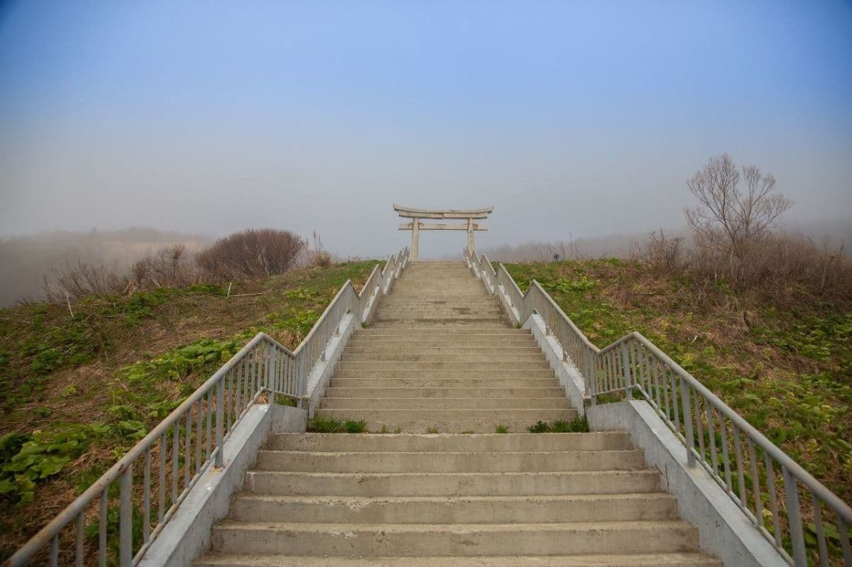 Затерянный мир: Сахалин и Итуруп (стандартный) - фото 4