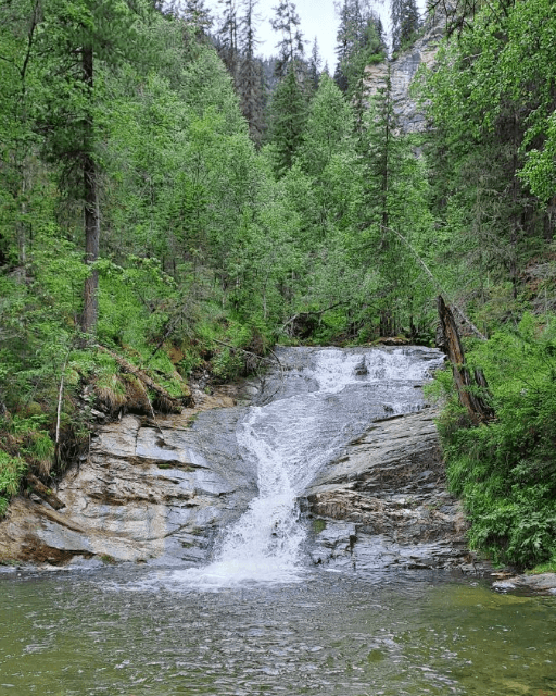 Другой Алтай - Комфорт - фото 7