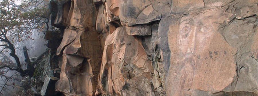 В программу включено: