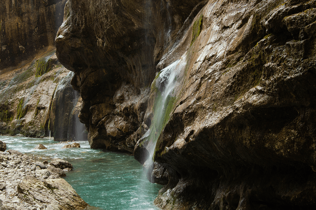 В программу включено: