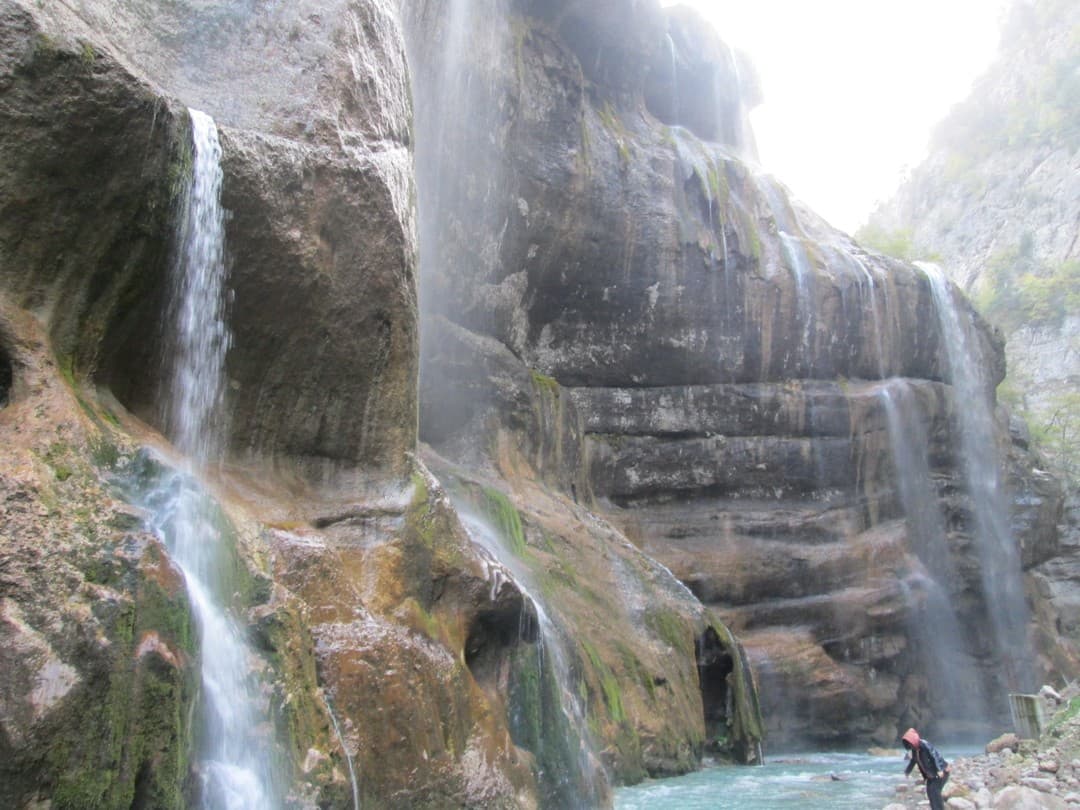 В программу включено: