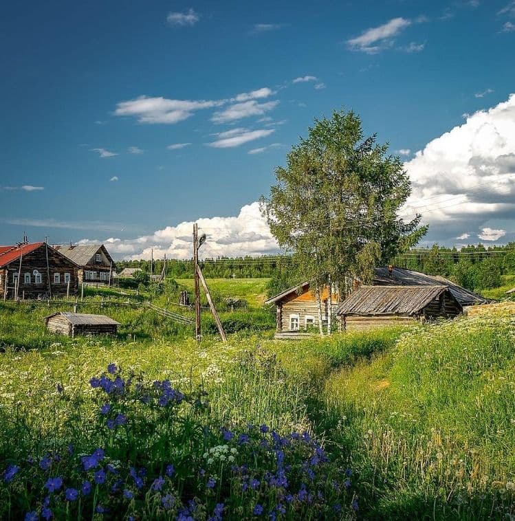 Погружение в северную деревню