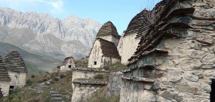 В программу включено: