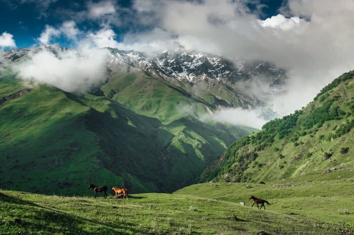 Джип путешествие в урочище Уштулу - уголок нетронутой природы в Кабардино-Балкарии - фото 2