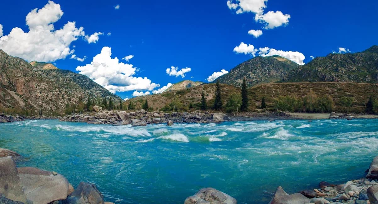 Автотур «Цветение маральника 5 дней»