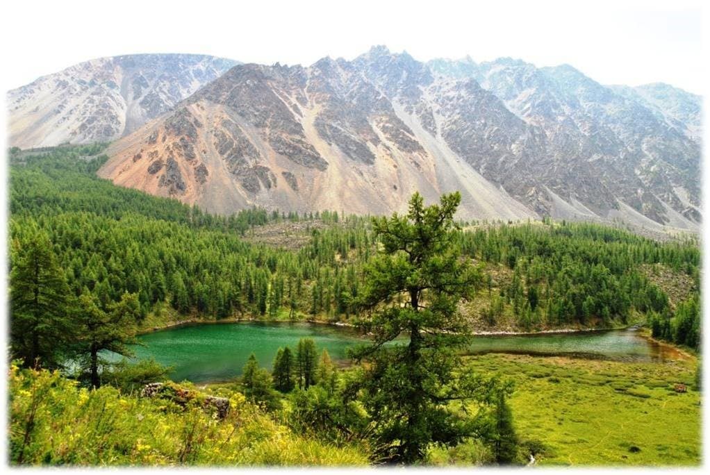 Большой Алтай. Специальный тур. Весь Алтай до границы с Монголией. - фото 6