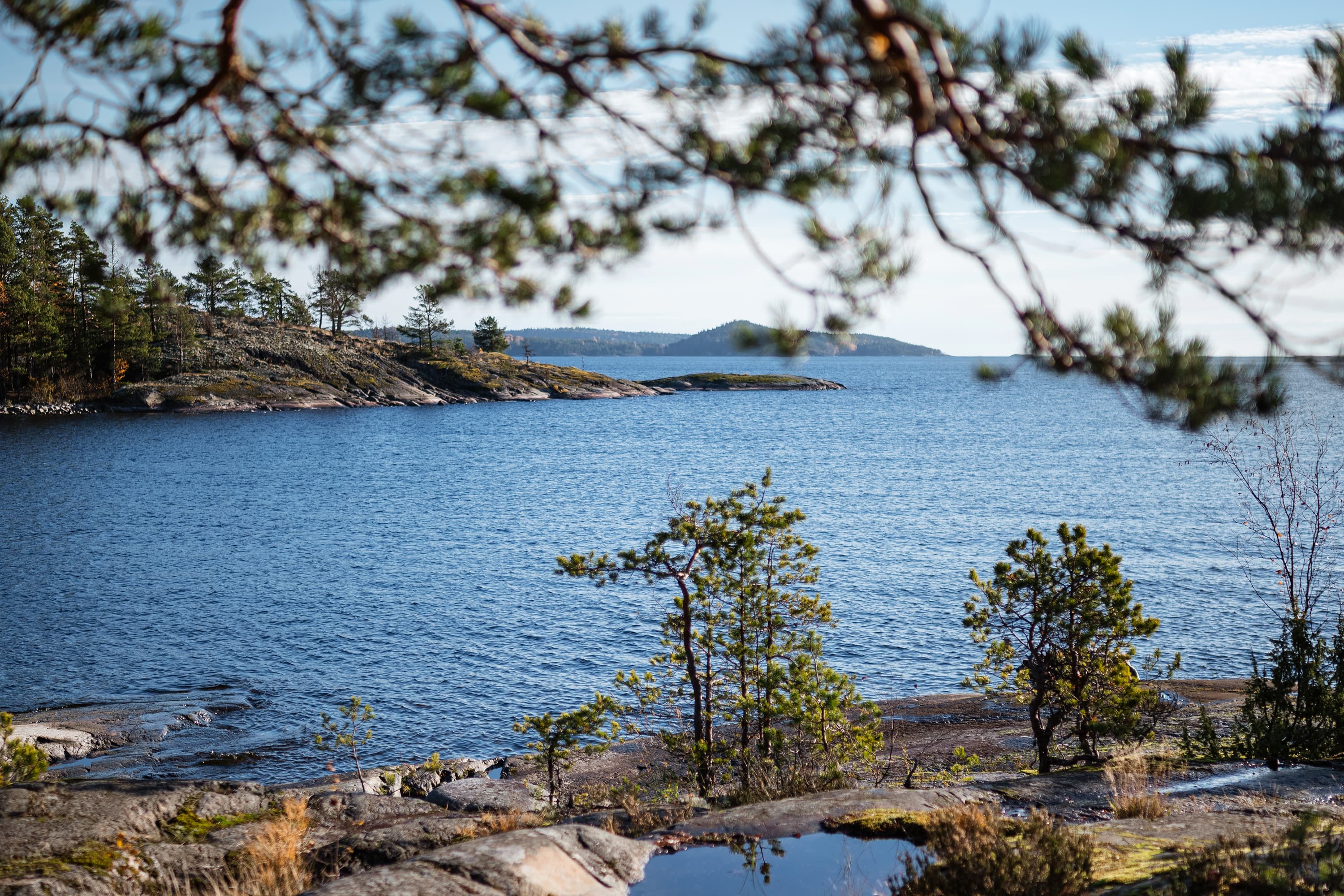 ВКУСЫ КАРЕЛИИ. ГАСТРОНОМИЧЕСКИЙ ТУР. Весна-Осень 2026 - фото 9