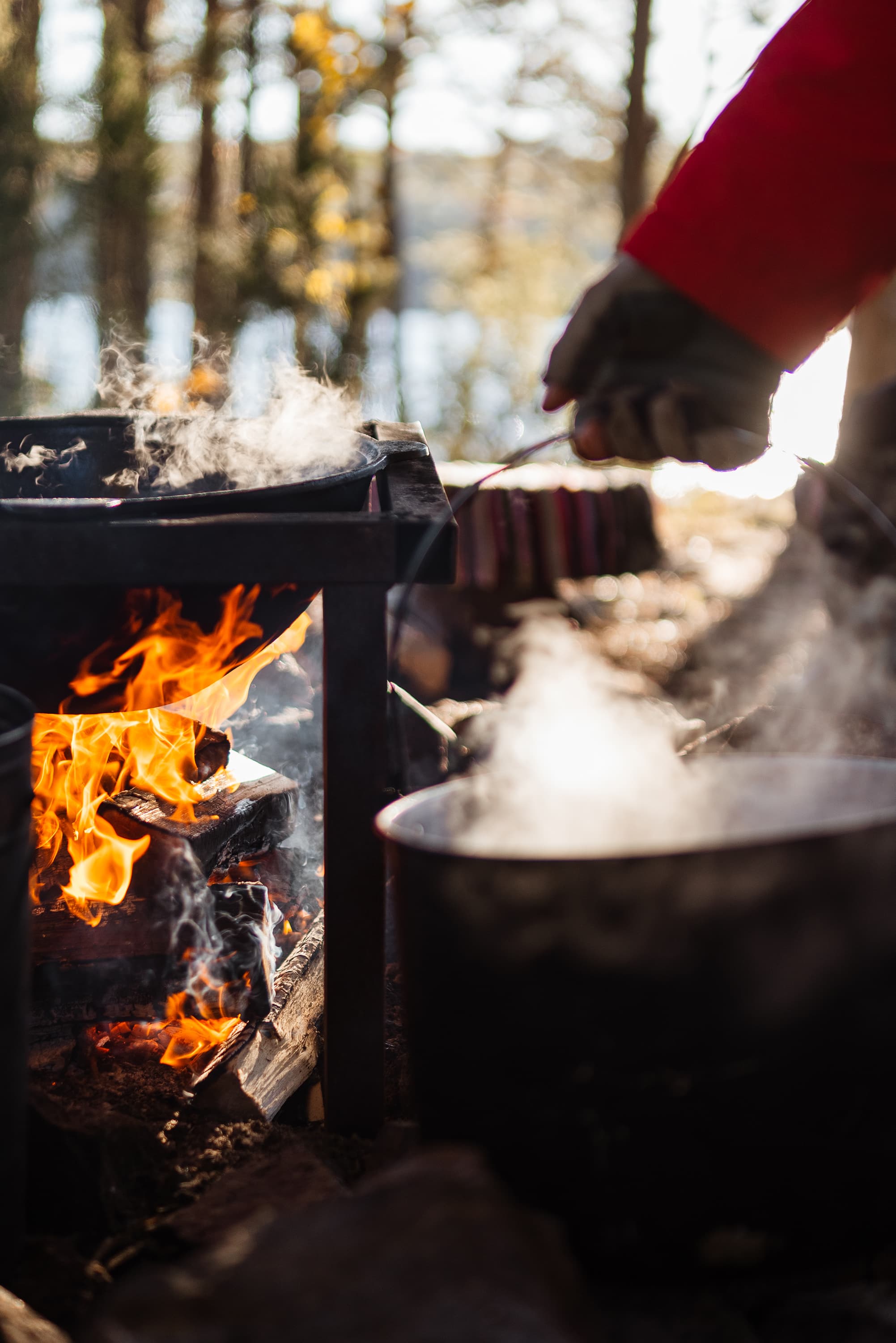 ВКУСЫ КАРЕЛИИ. ГАСТРОНОМИЧЕСКИЙ ТУР. Весна-Осень 2026 - фото 4
