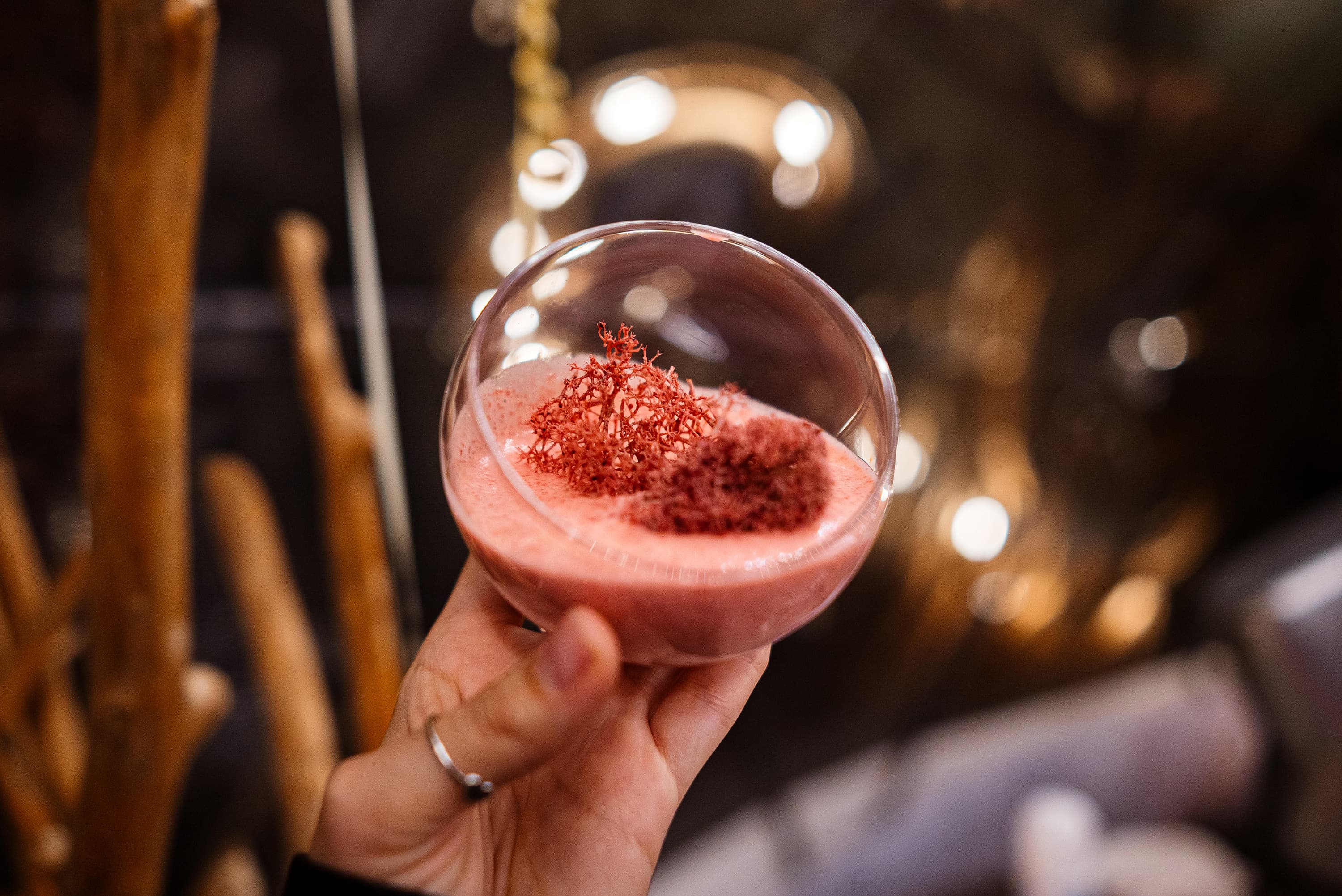 День 1. “День земли”