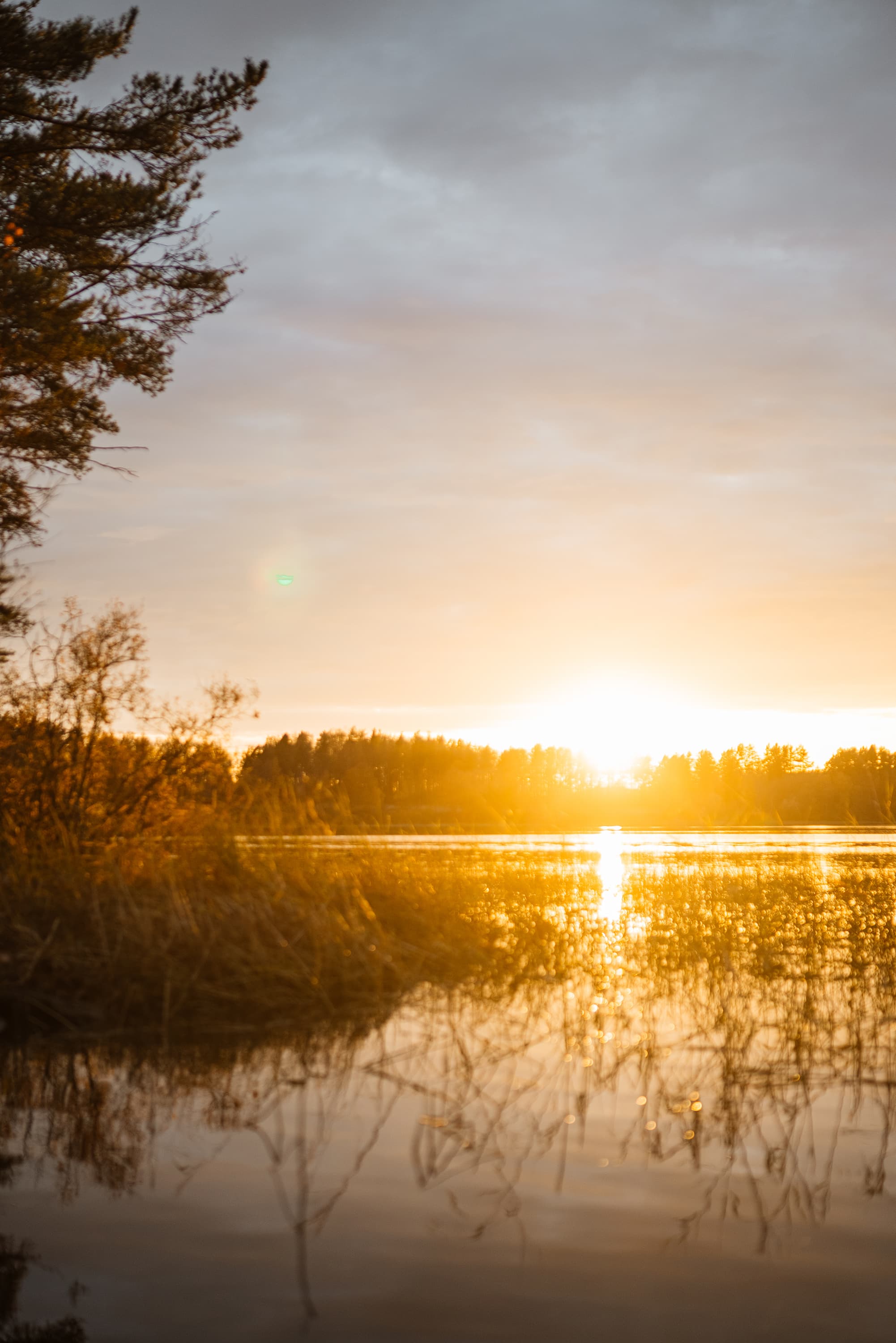 ВКУСЫ КАРЕЛИИ. ГАСТРОНОМИЧЕСКИЙ ТУР. Весна-Осень 2026 - фото 5