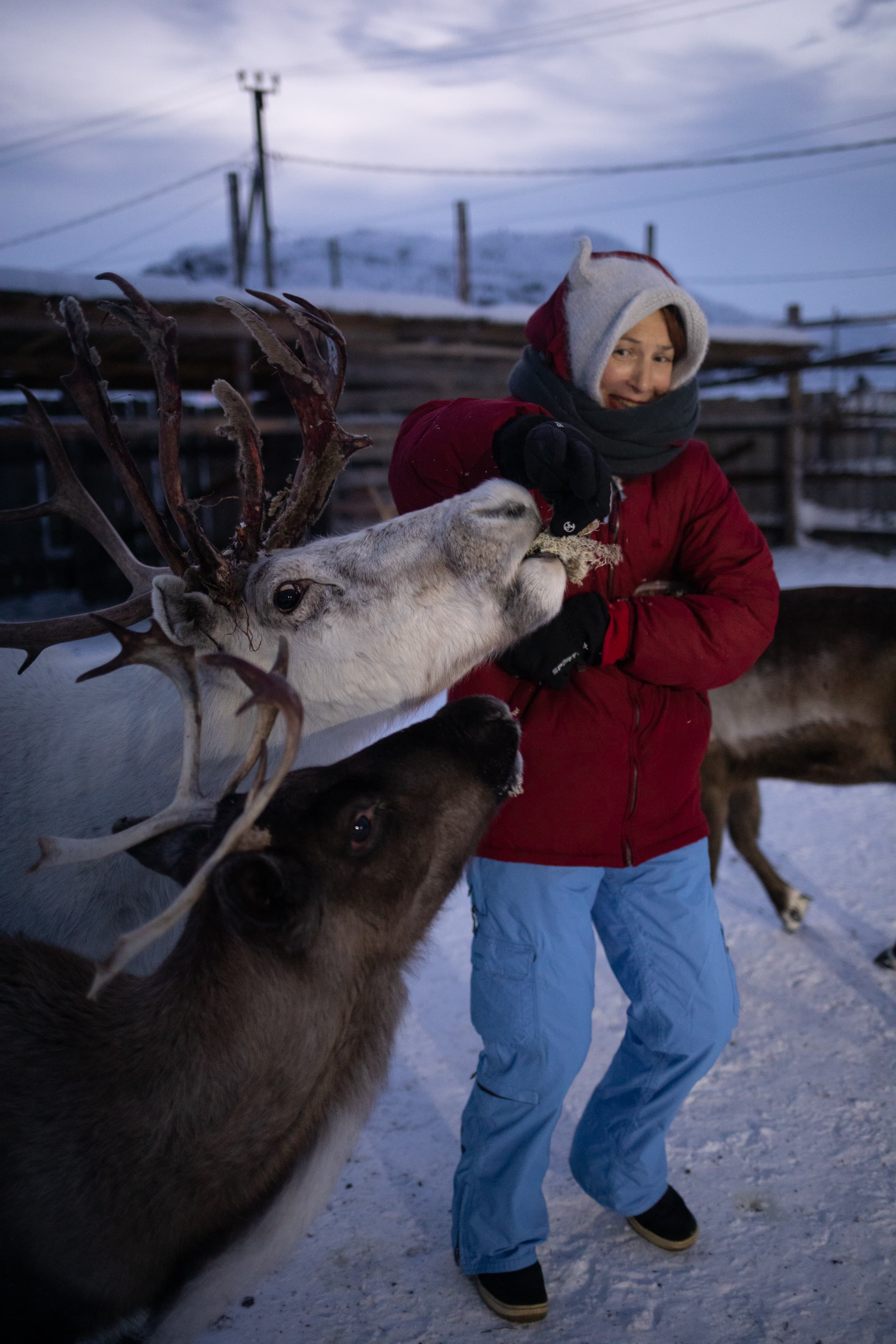 Арктика - фото 4