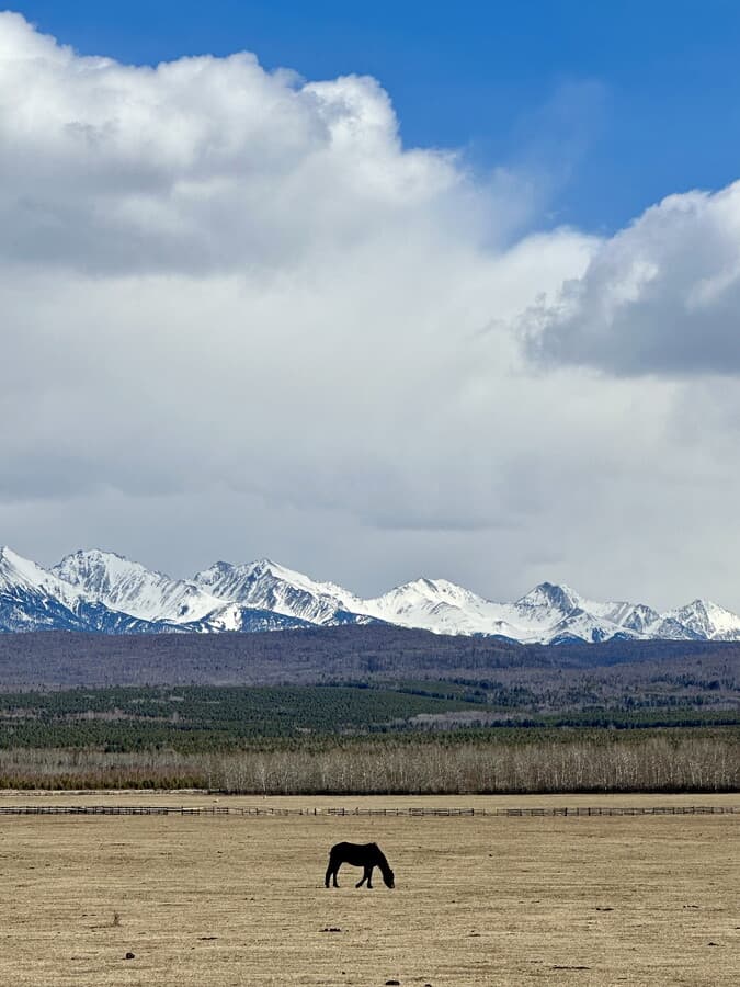 Путешествие в Бурятию. Тункинская долина. Восточные Саяны. - фото 11
