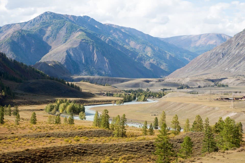 Сиреневые горы Алтая - фото 1