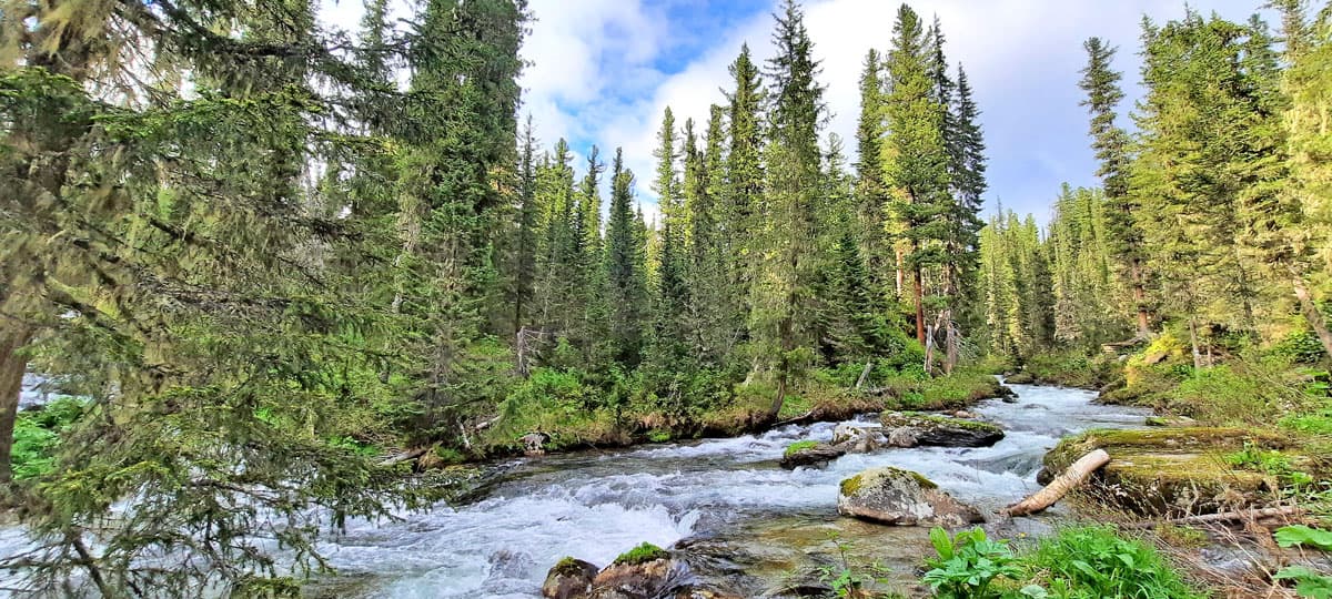 Треккинг в Сибирь. Путешествие в Ергаки - фото 3