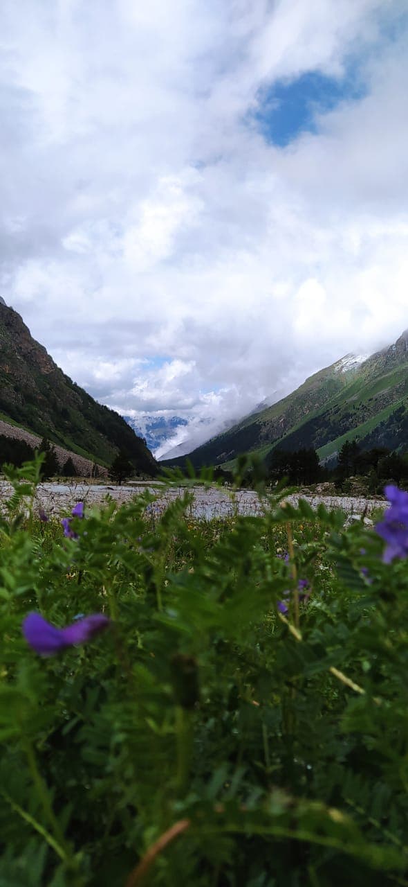 К Уллу Тау 🏔️за мечтой и внутренней силой, джип🚙 тур в ущелье Адырсу, к поляне исполнения желаний. - фото 8