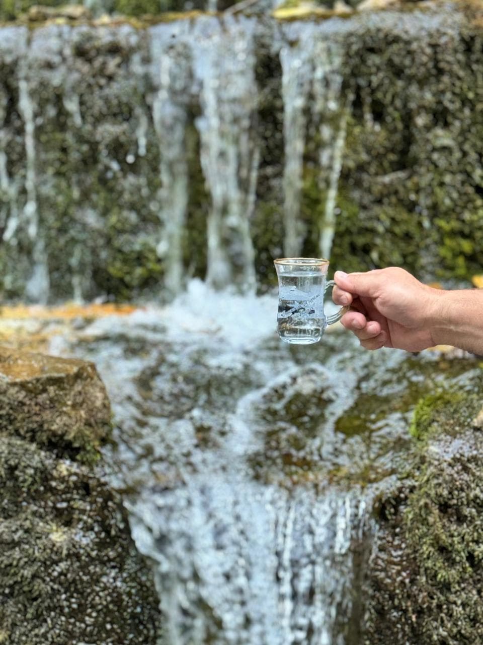 джип путешествие в Хуламо Безенгийское ущелье. - фото 4