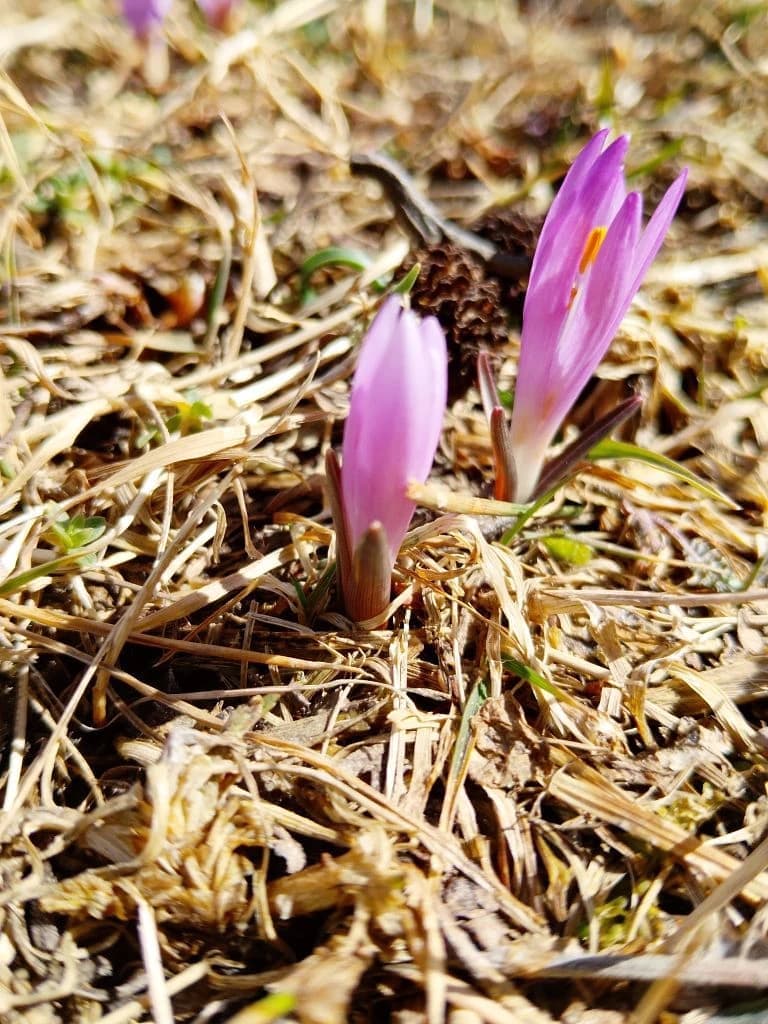 Джип путешествие в урочище Уштулу - уголок нетронутой природы в Кабардино-Балкарии - фото 6
