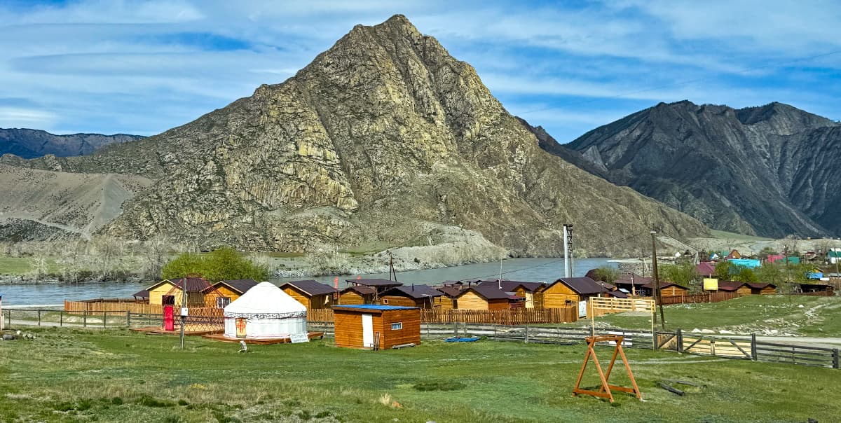 Цветение маральника на Алтае. Майские в сиреневых горах. - фото 2