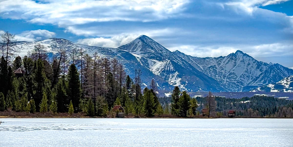 Цветение маральника на Алтае. Майские в сиреневых горах. - фото 3