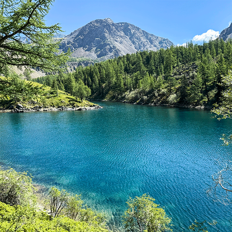 Ущелье Актру