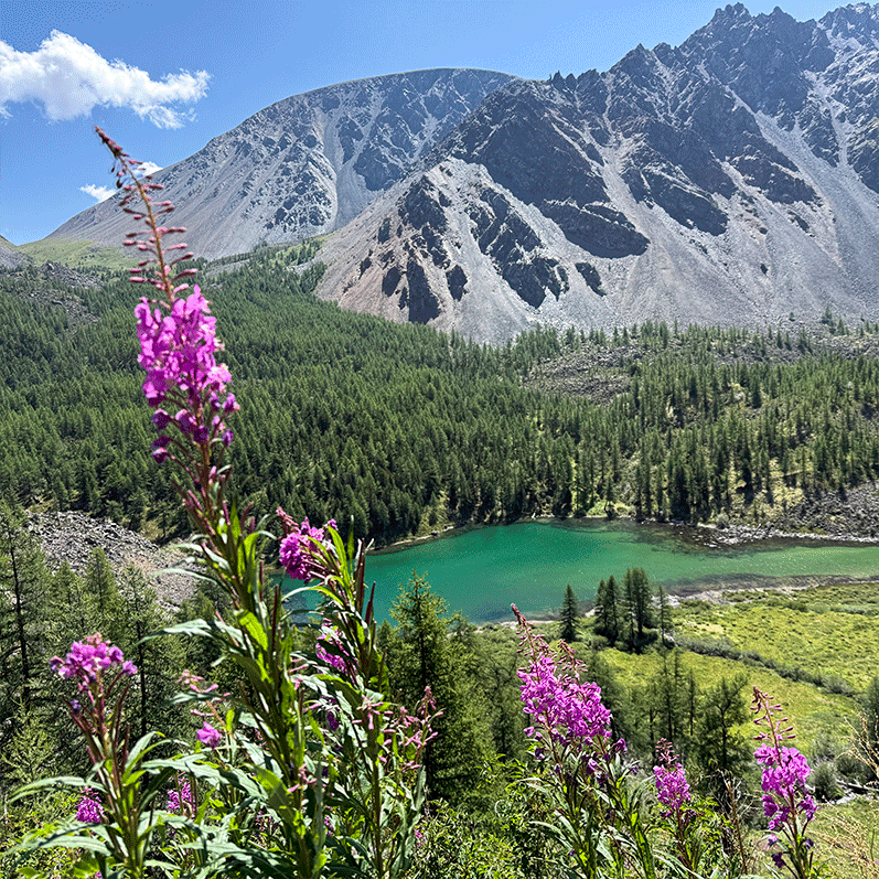 Ущелье Актру