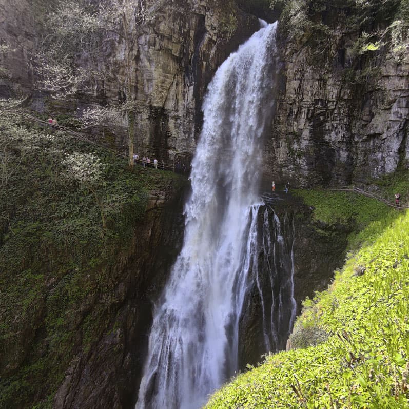 Майские праздники в Абхазии - фото 4