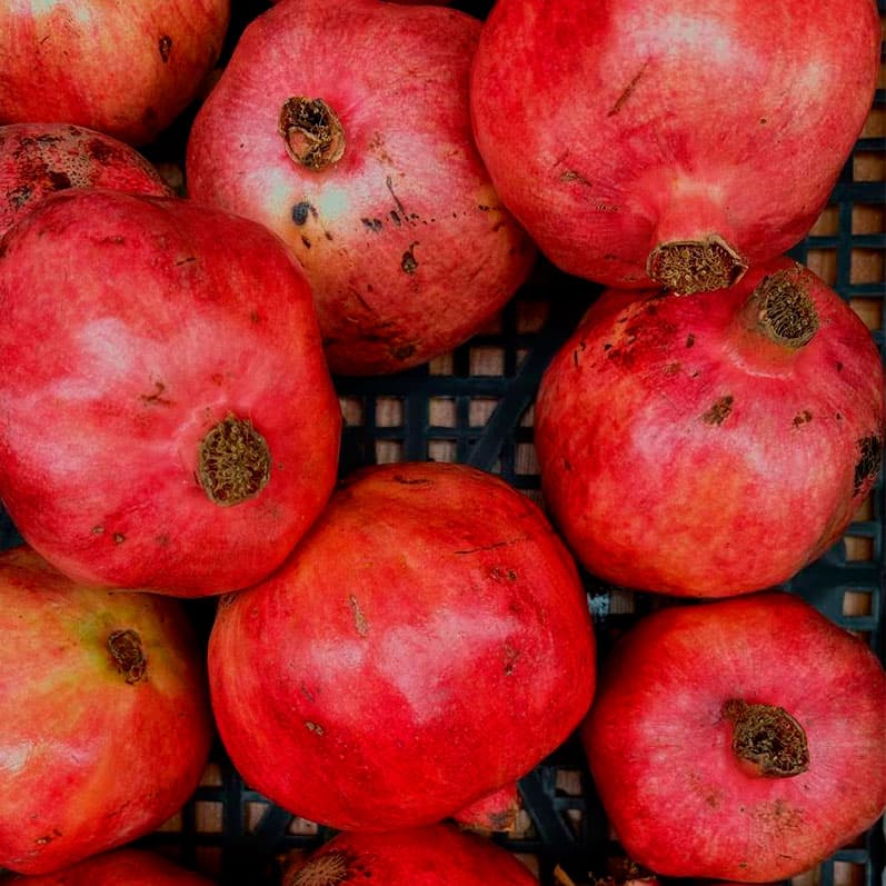 Город Махачкала, крепость Нарын-кала.