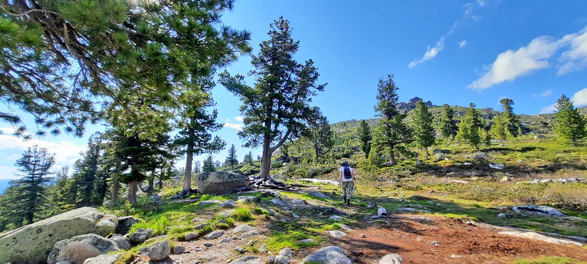 Треккинг в Сибирь. Путешествие в Ергаки - фото 2