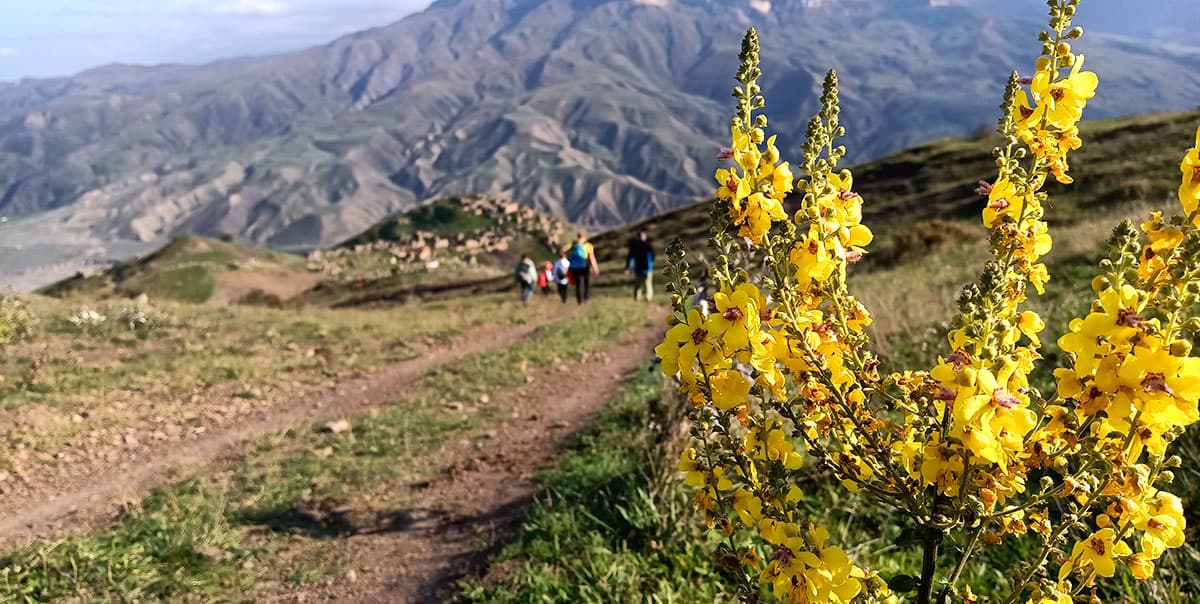 Город Махачкала, крепость Нарын-кала.