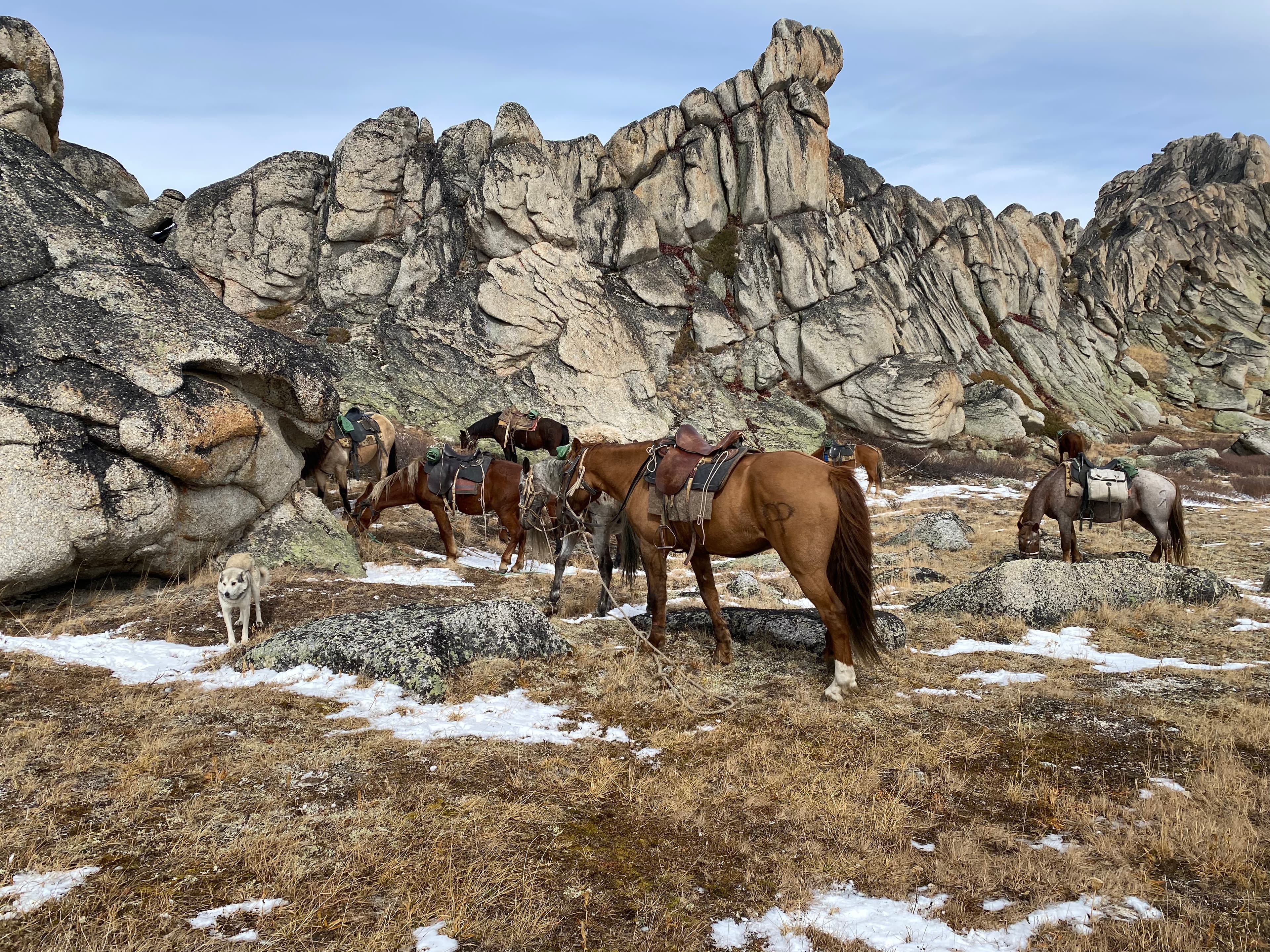 Каменные замки Алтая на границе 4-х стран! Высокогорный Чокпартас (Шокпартас) - фото 8