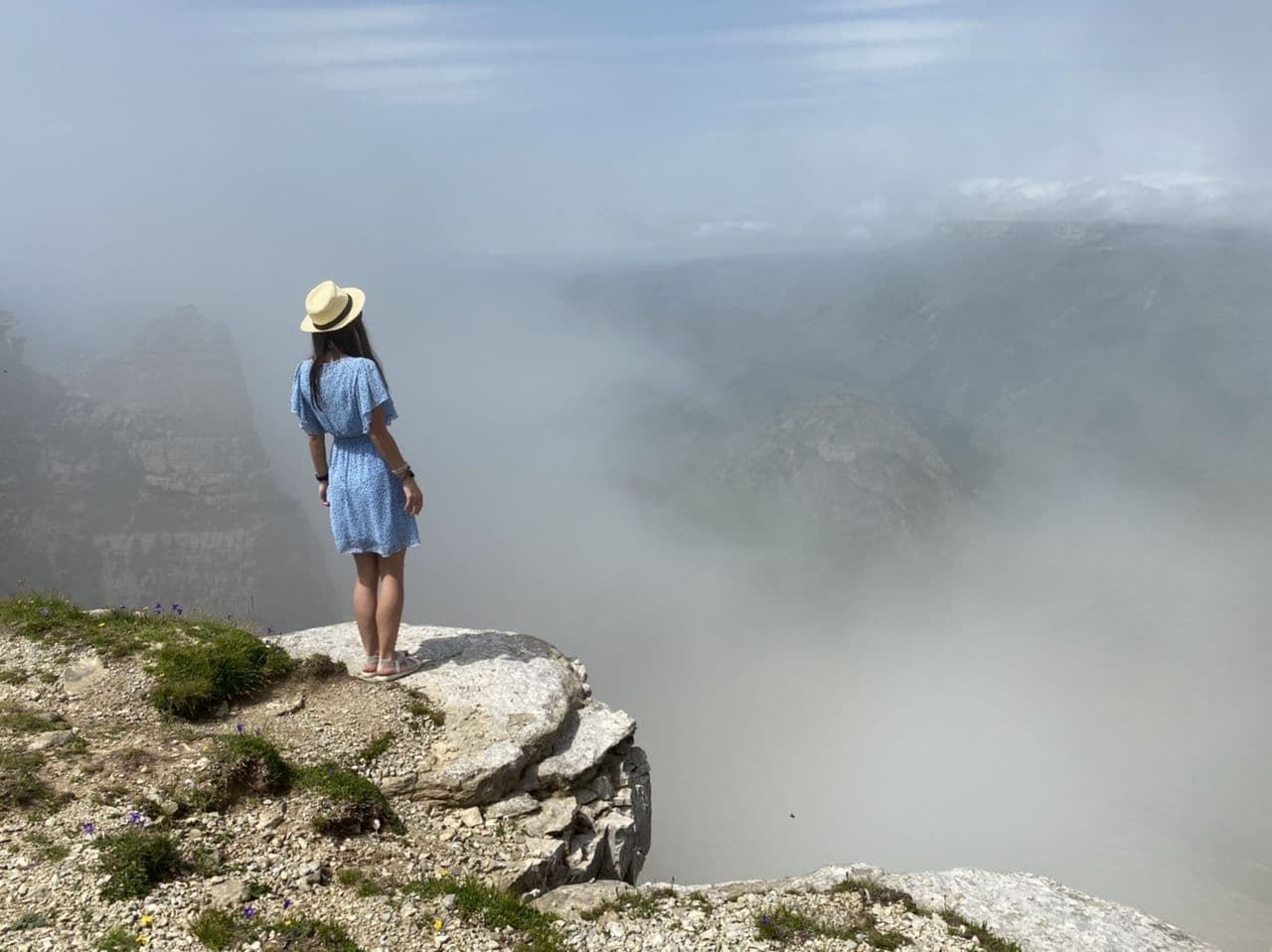 В программу включено: