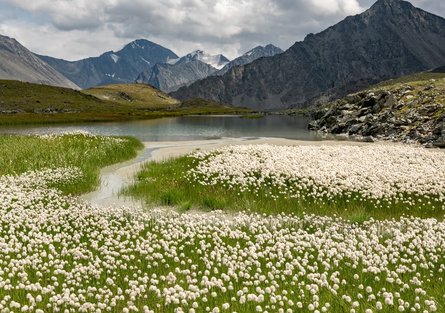 Пеший поход к Белухе с вьючными лошадьми - фото 8