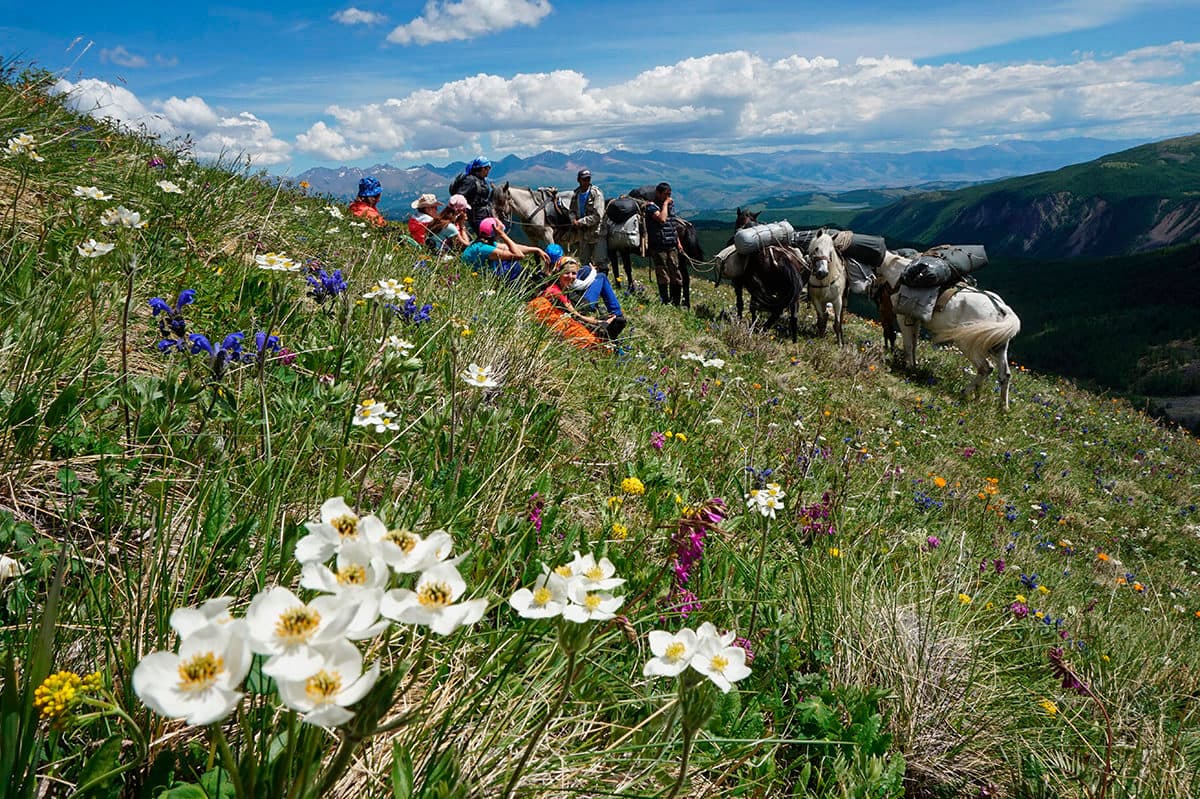 "Изумруды Алтая", легкий поход с вьючными лошадьми - фото 9