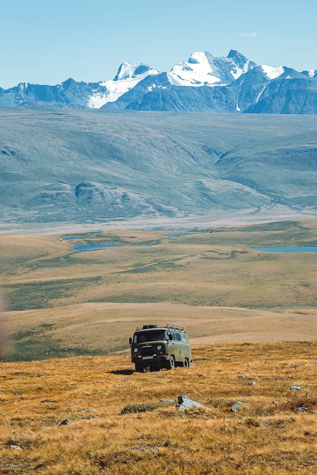 С питомцем на Укок. - фото 4