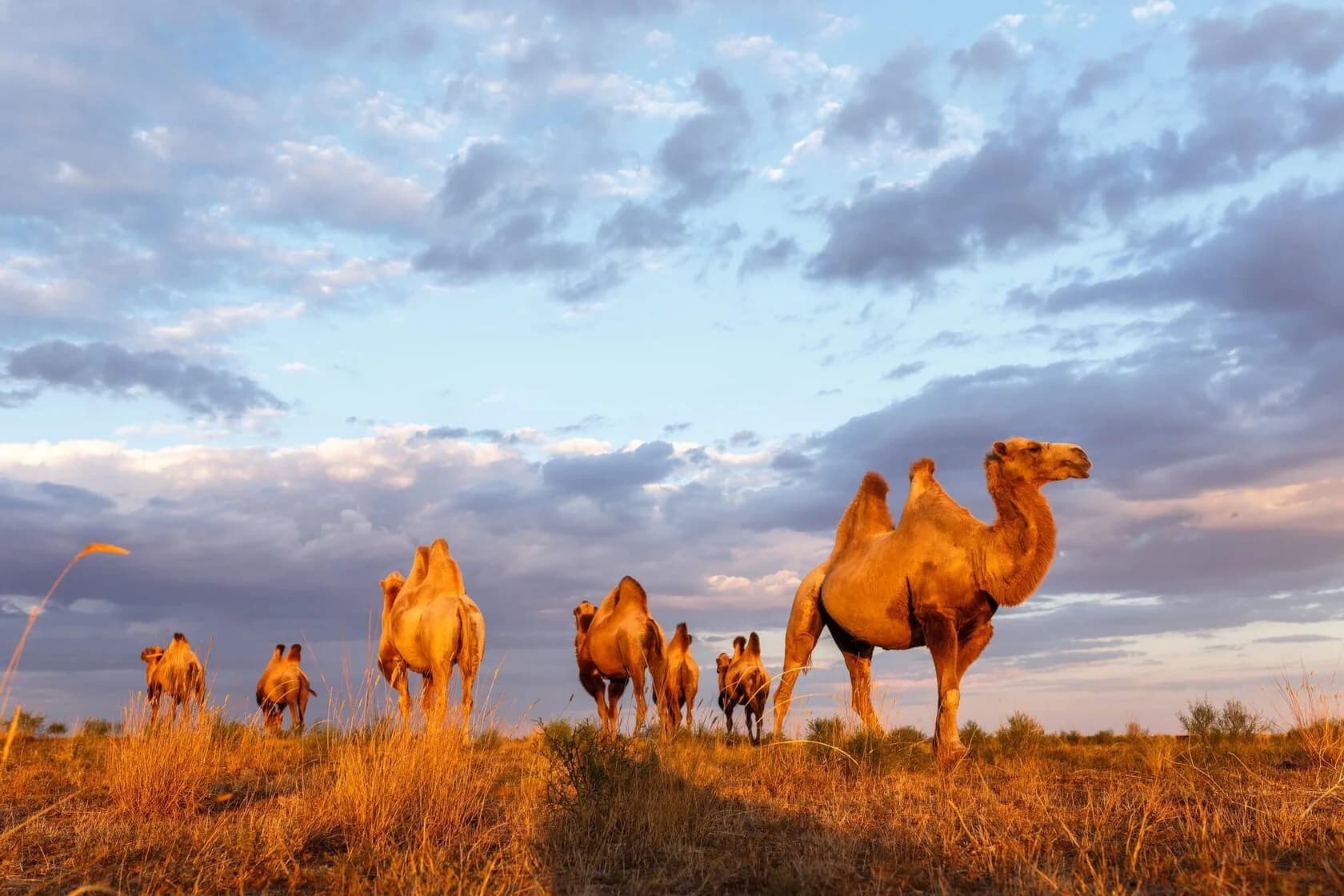 День 1 Приключение в страну Бумба