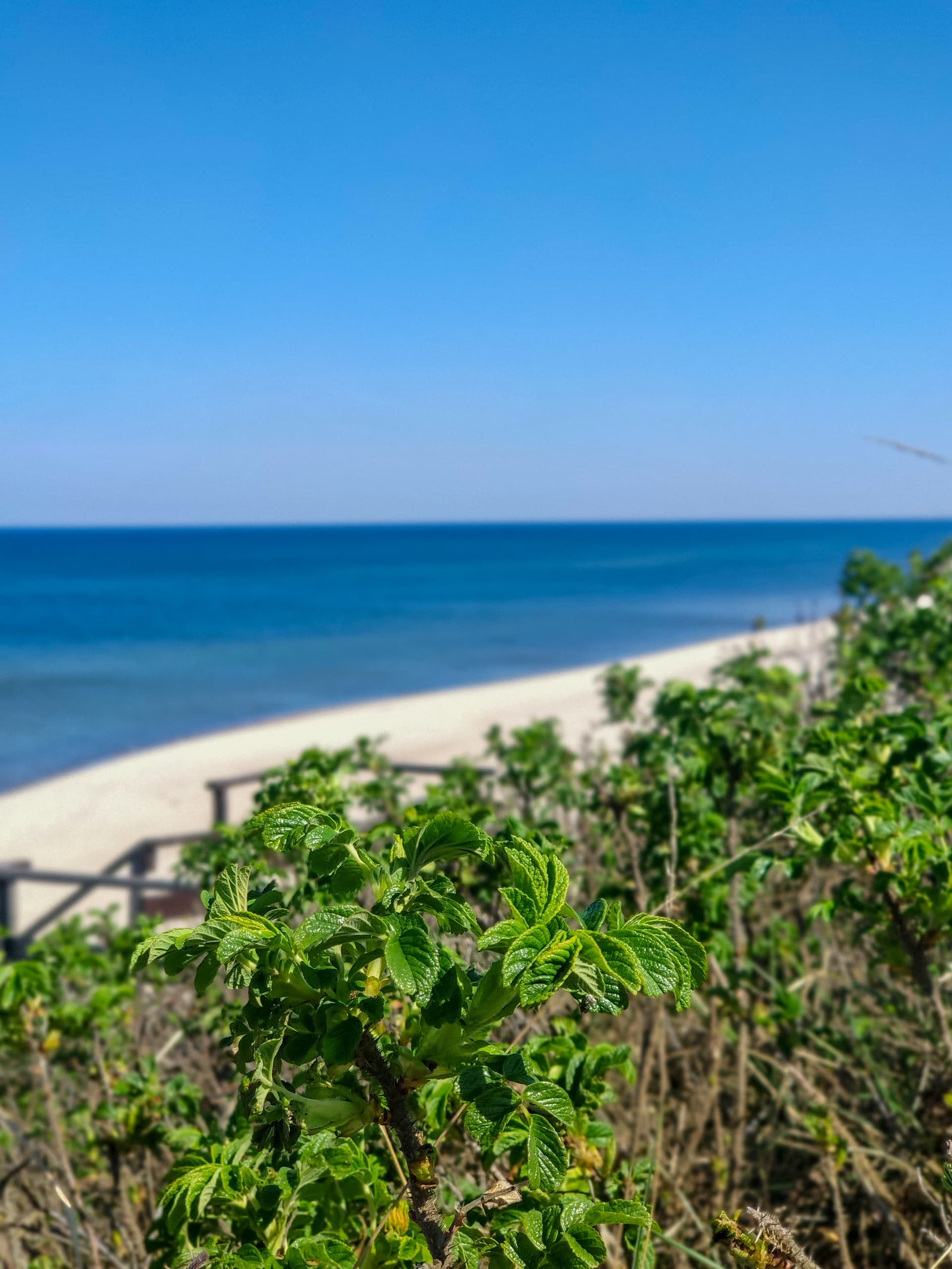 Тур "Впервые в Калининграде" 4 дня/3 ночи - фото 3