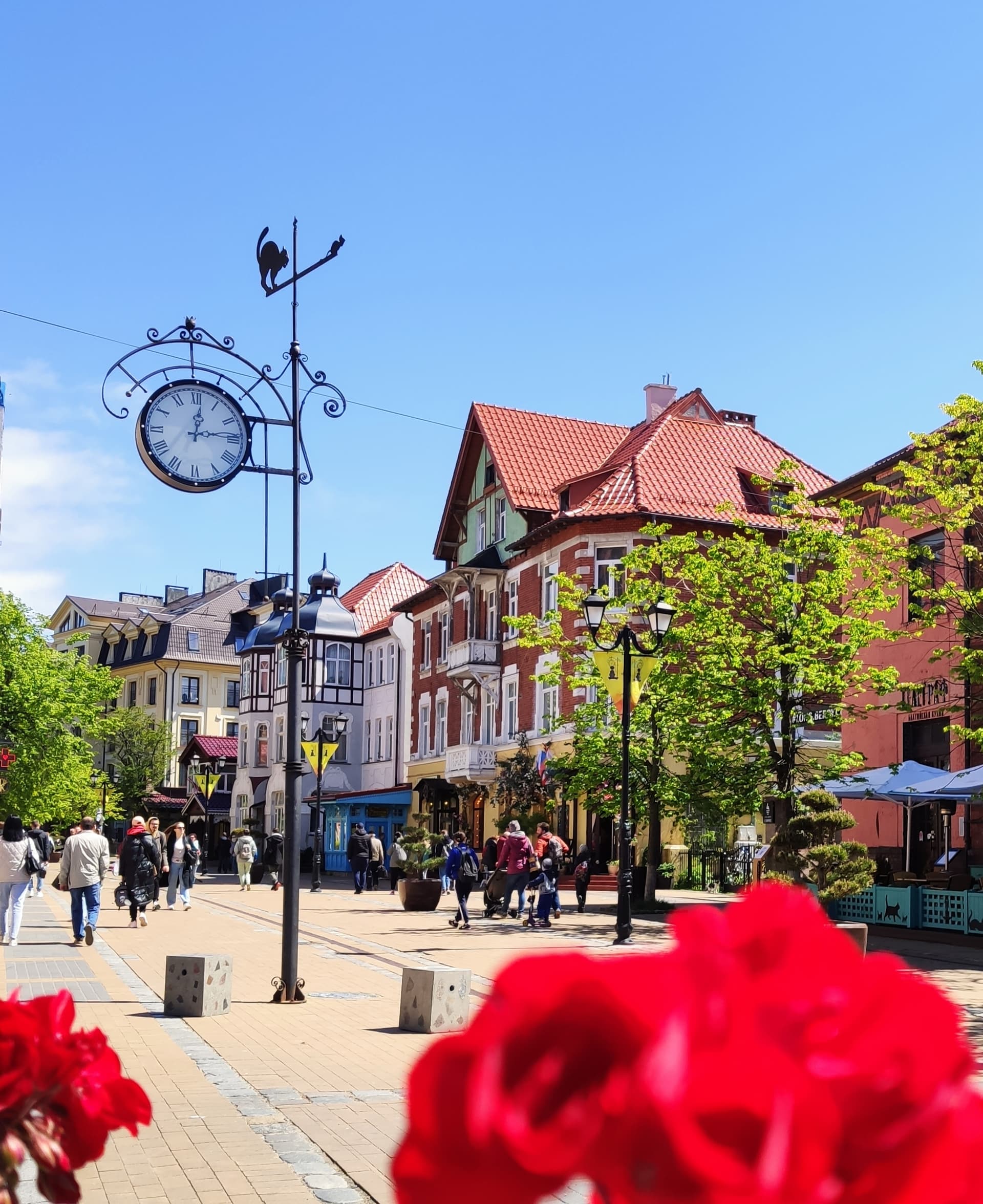 Тур "Впервые в Калининграде" 4 дня/3 ночи - фото 1