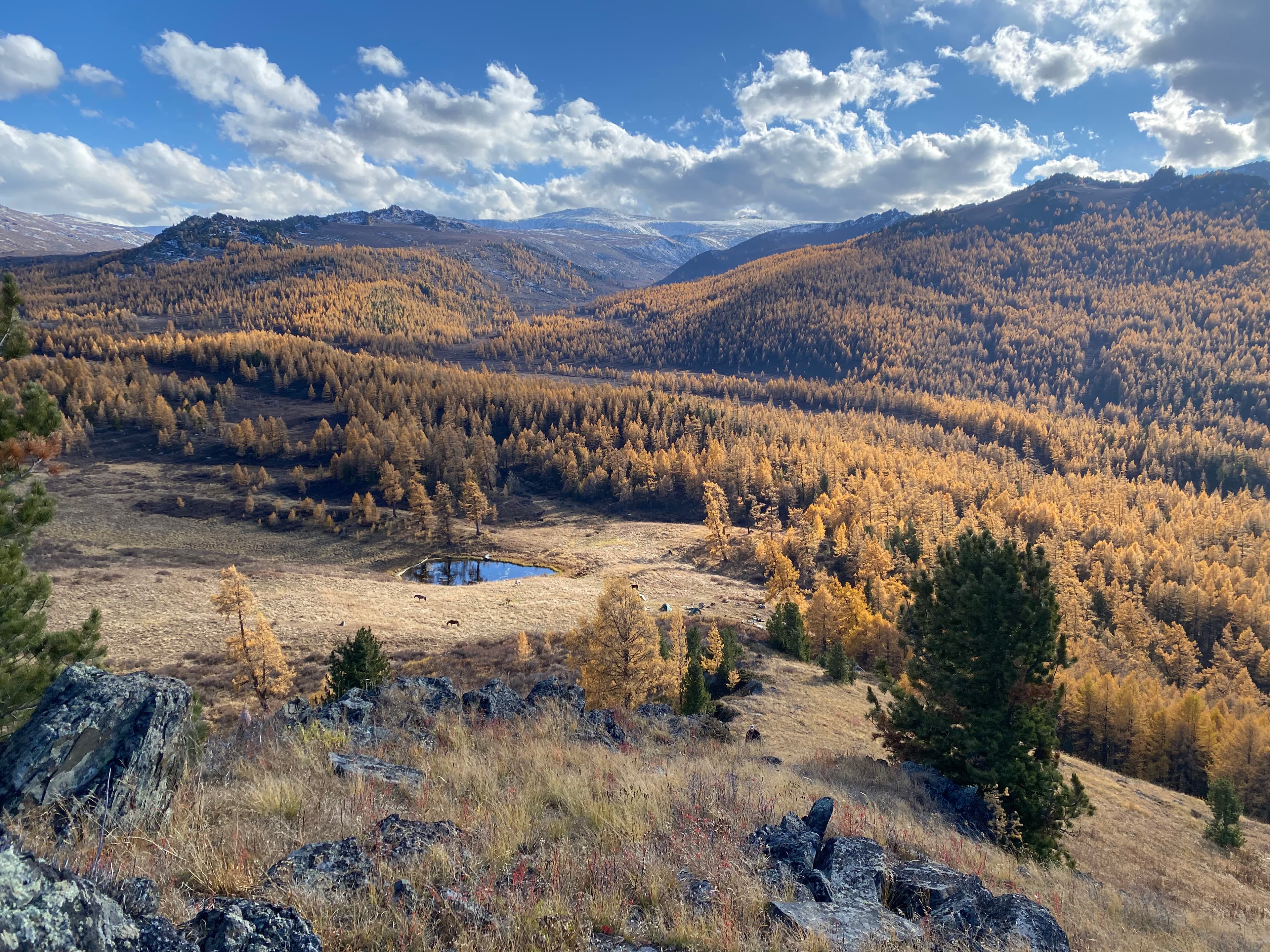 Каменные замки Алтая на границе 4-х стран! Высокогорный Чокпартас (Шокпартас) - фото 11