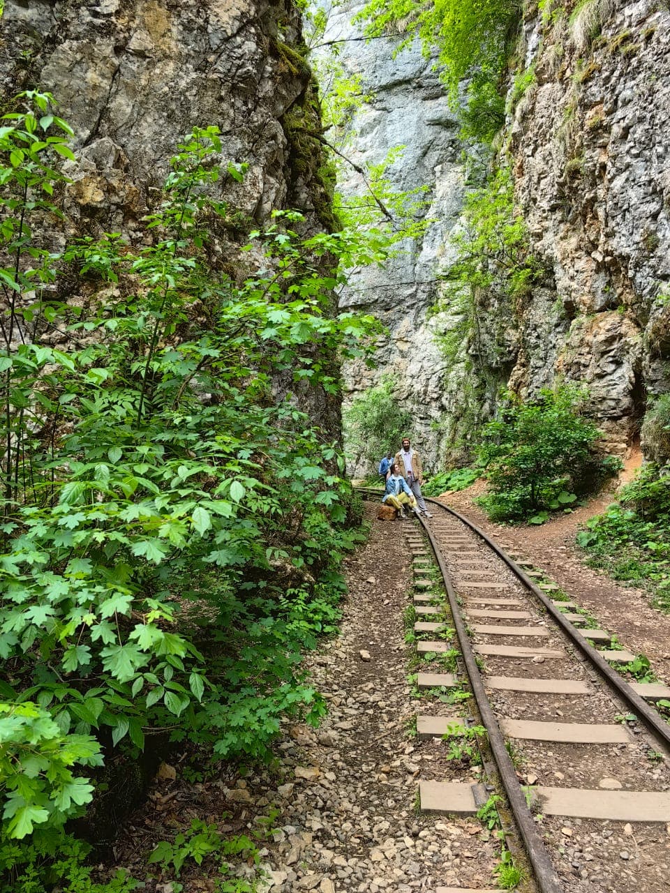 Мега-Тур Адыгея + Гуамское ущелье - фото 4