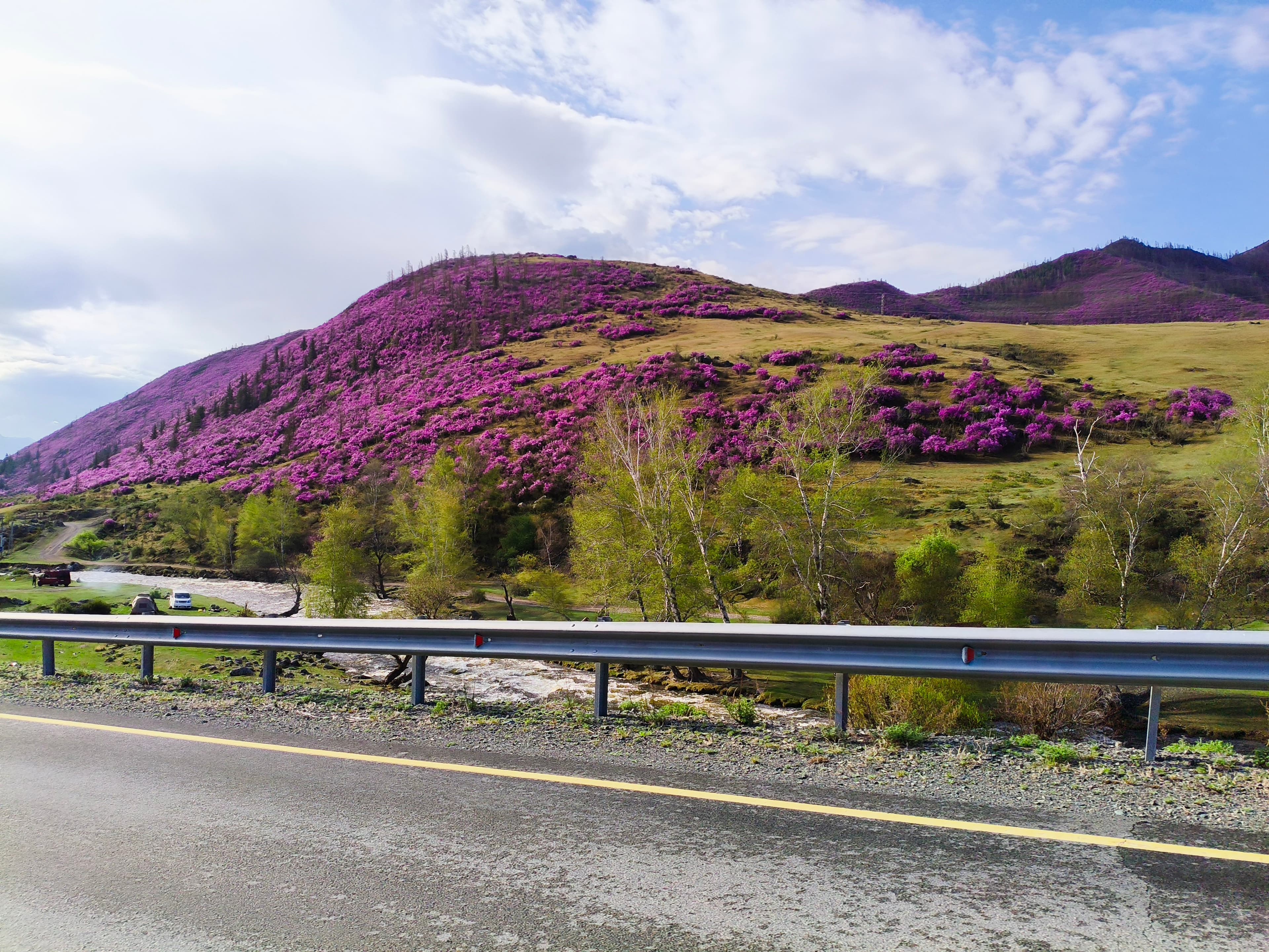 Майские Фиолетовые - фото 3