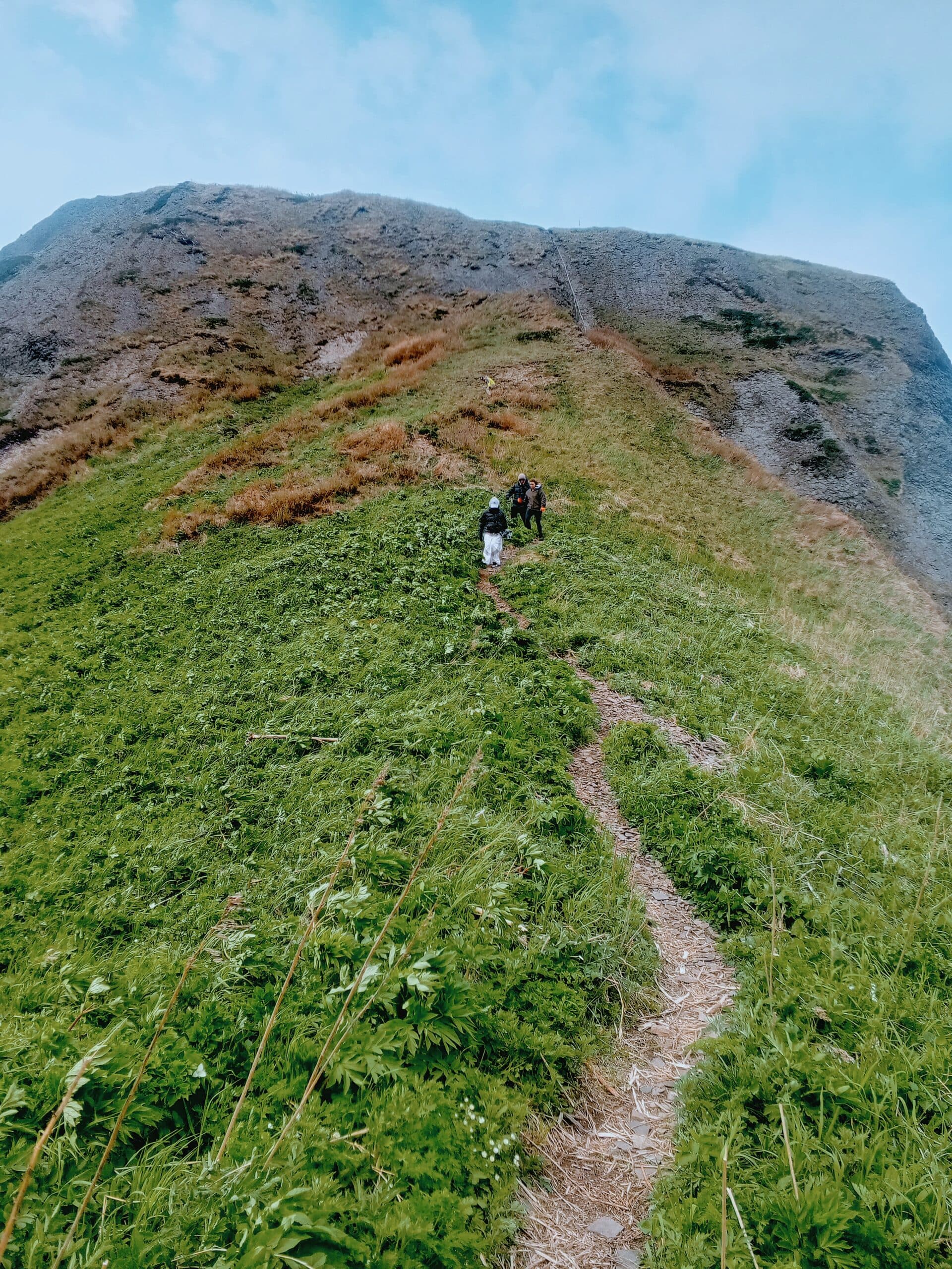 Мыс Виндис и «Гора Коврижка»​ - фото 10