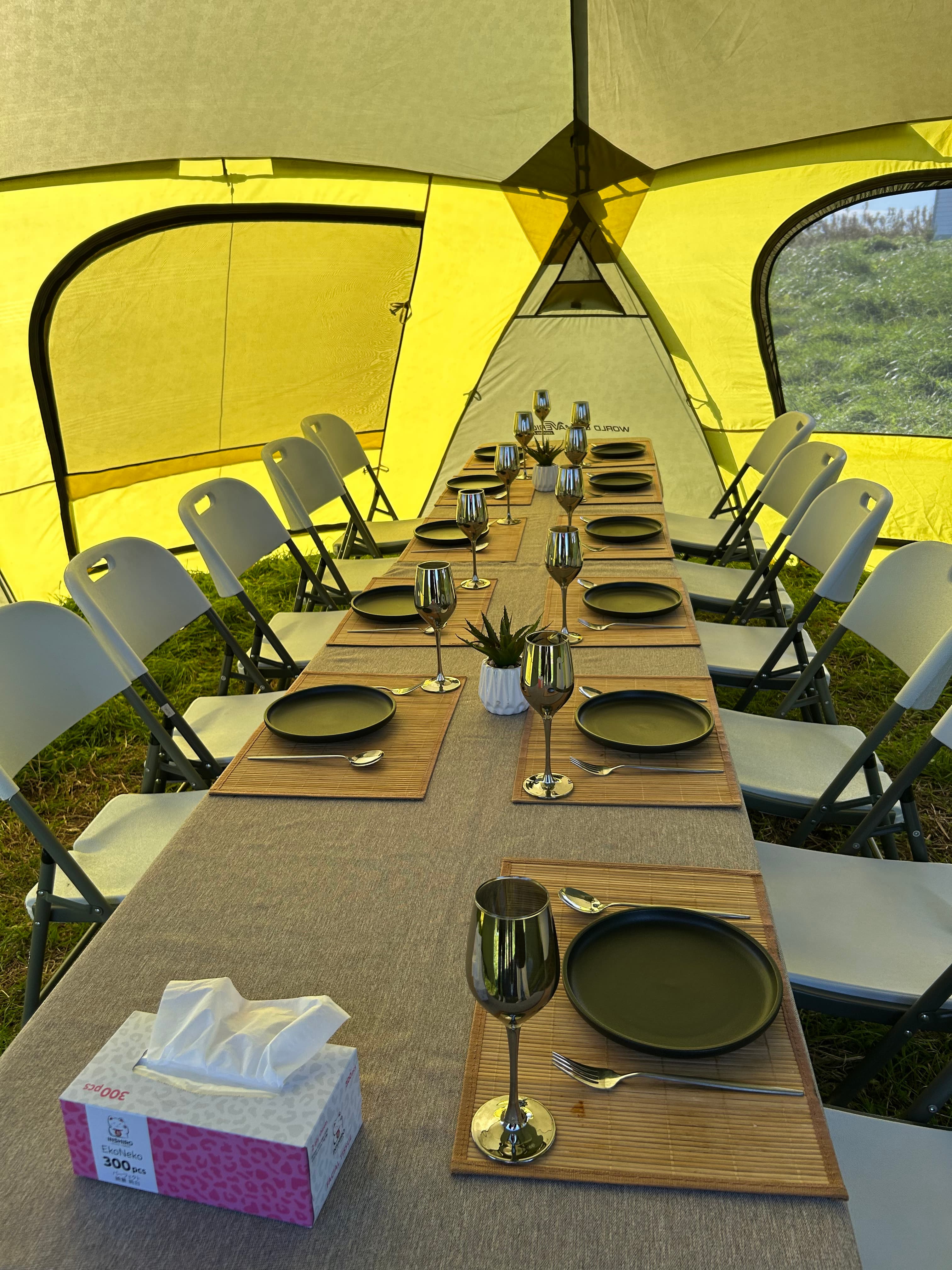 Едем за устрицами