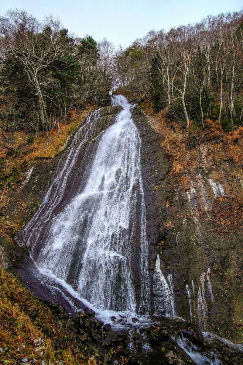 Затерянный мир: Сахалин и Итуруп (стандартный) - фото 5