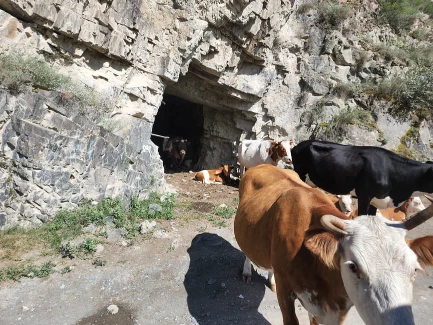 Автотур «Алтайские приключения» - фото 3