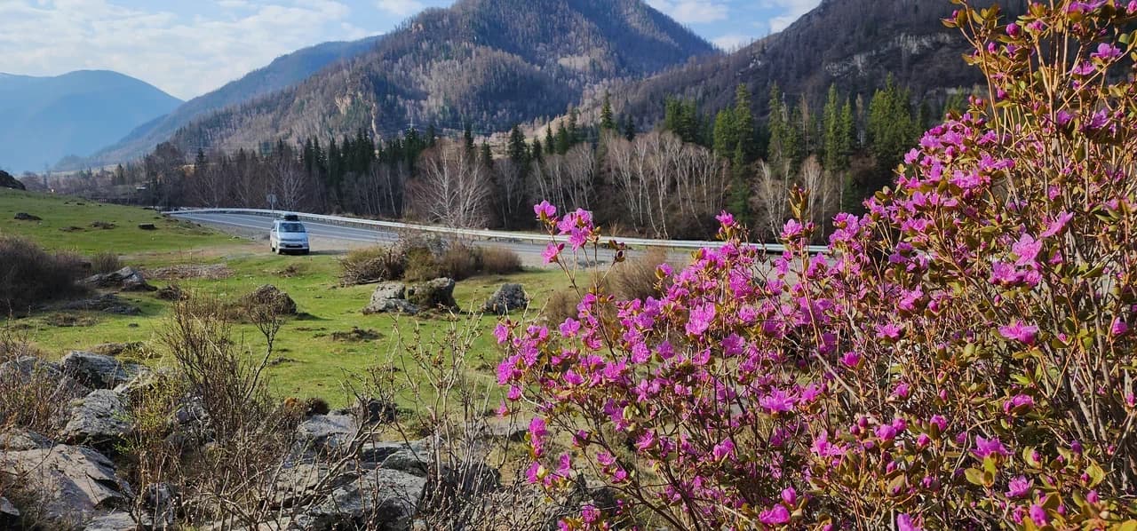 Автотур «Цветение маральника 3 дня» - фото 1