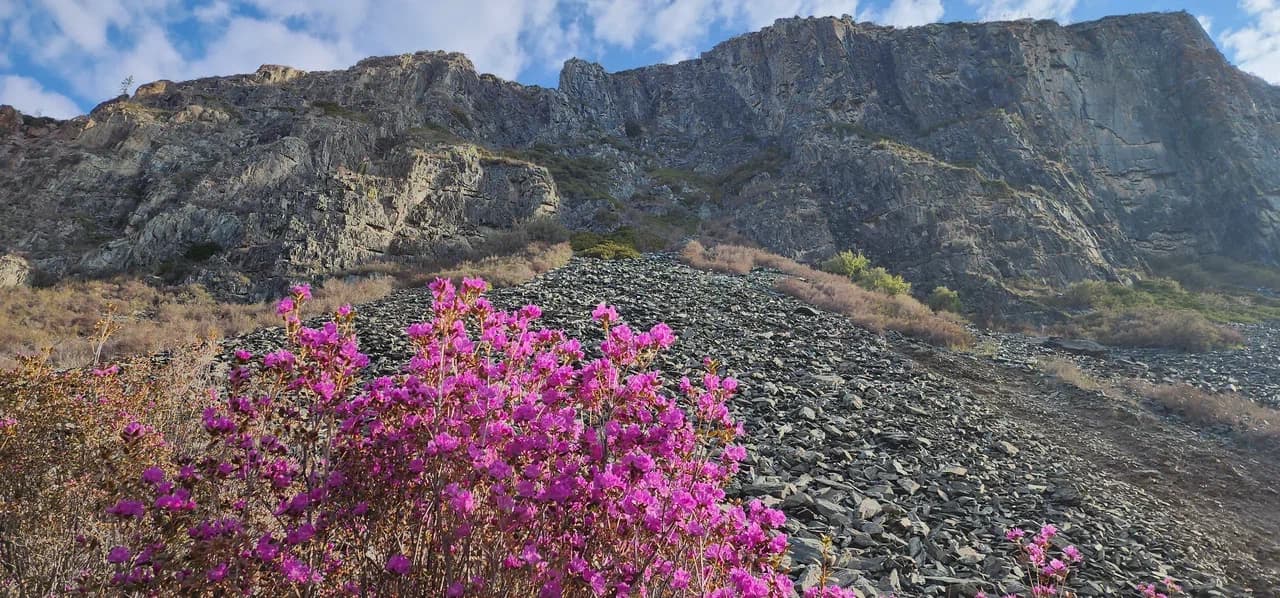 Автотур «Цветение маральника 4 дня» - фото 6