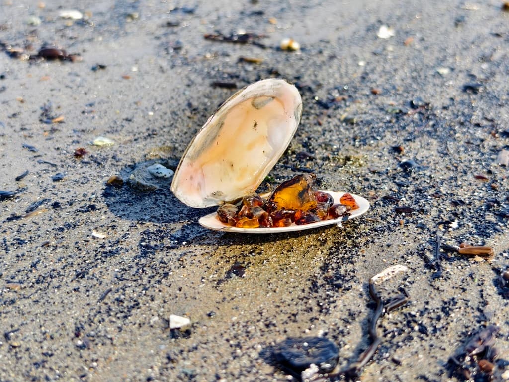 Южное кольцо Сахалина - фото 2