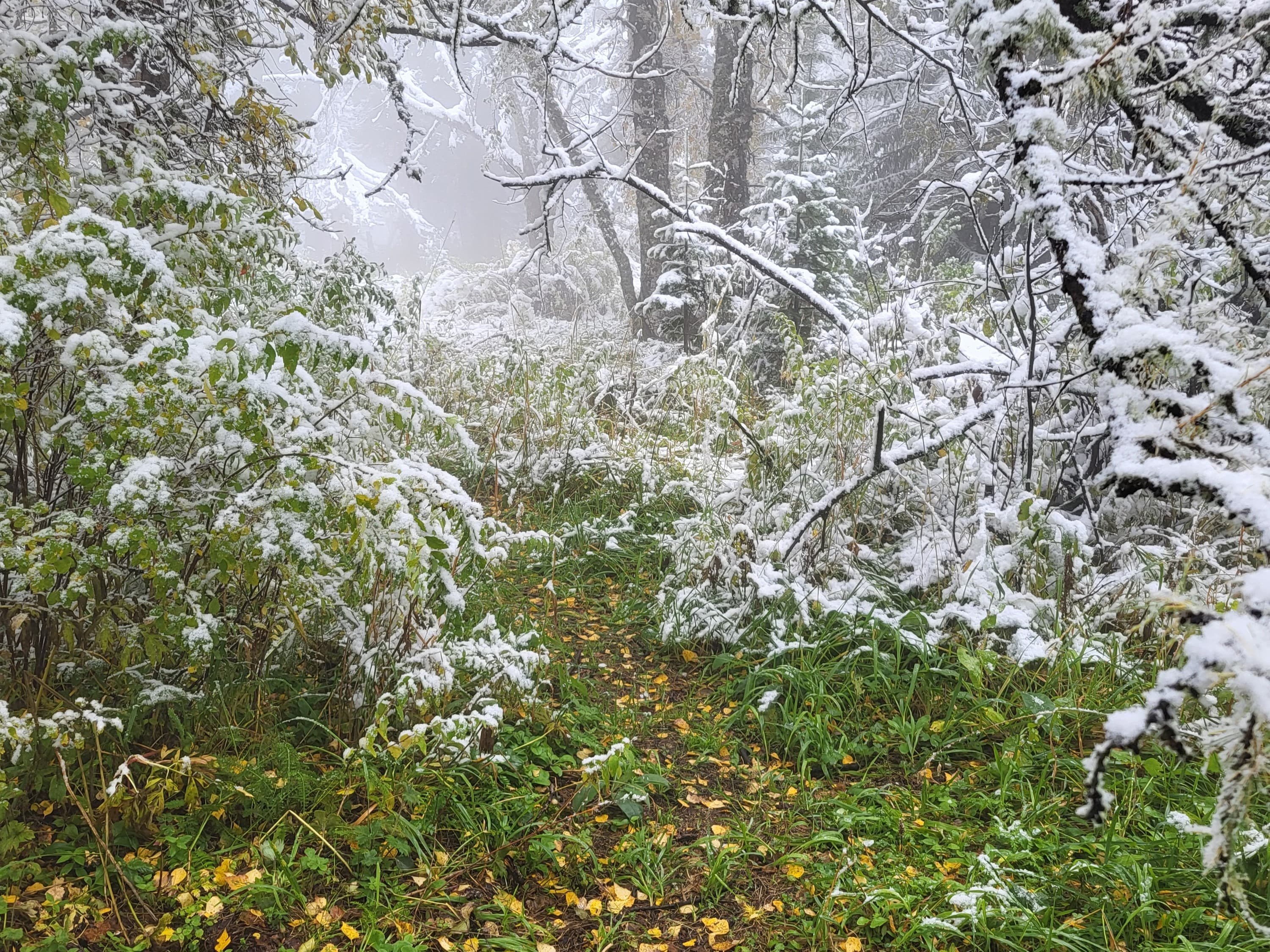 Алтай. Первая встреча.